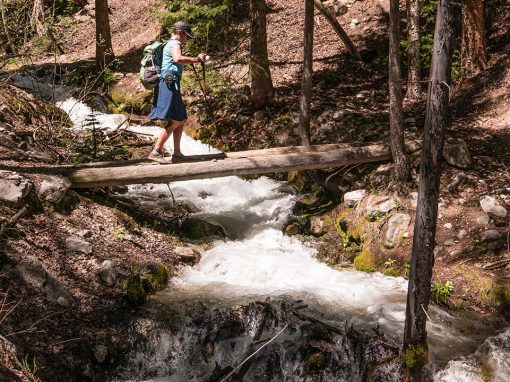 Colorado Trail North & South