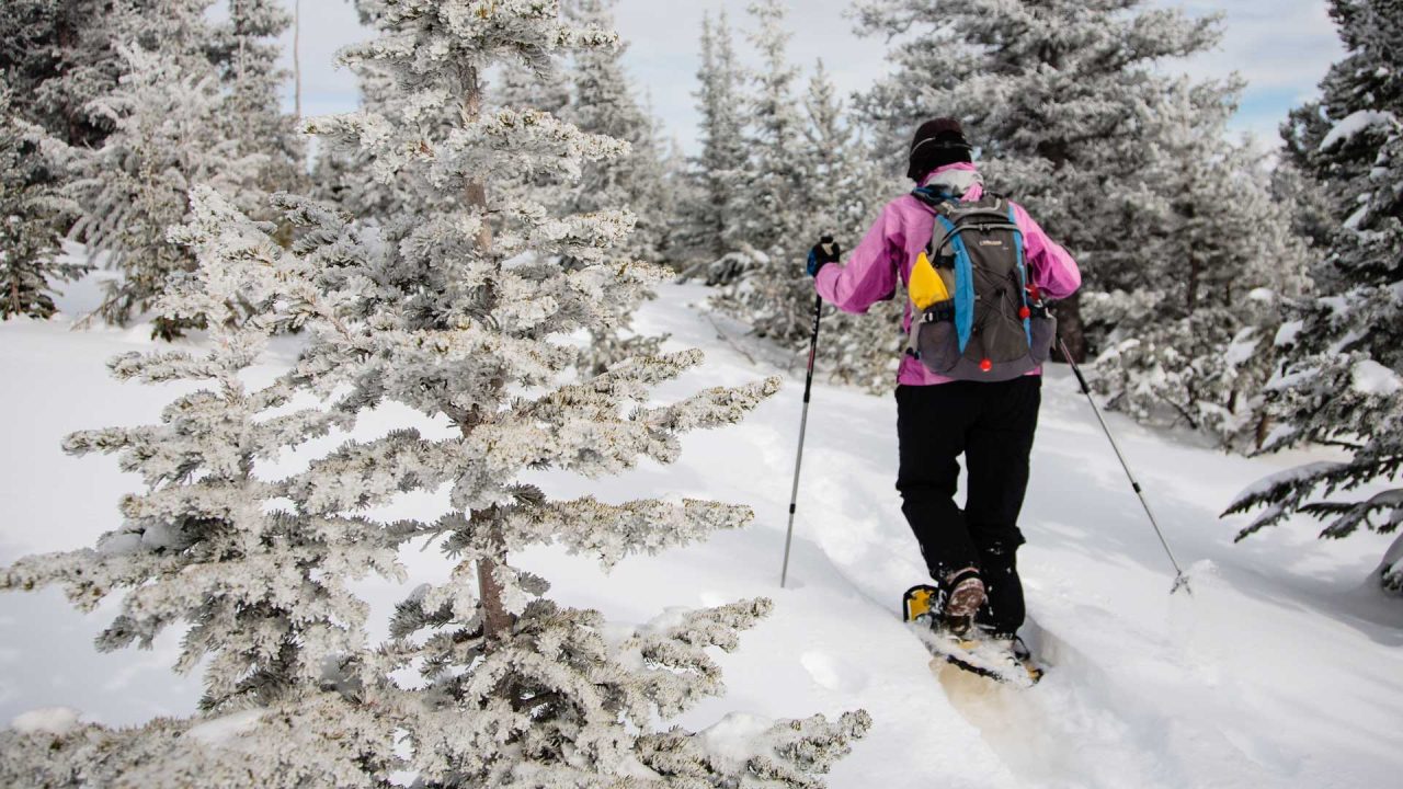 Snowmobiling & Hot Springs Buena Vista & Salida, Colorado