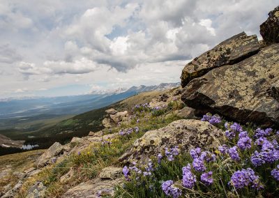 Continental Divide Trail (North)