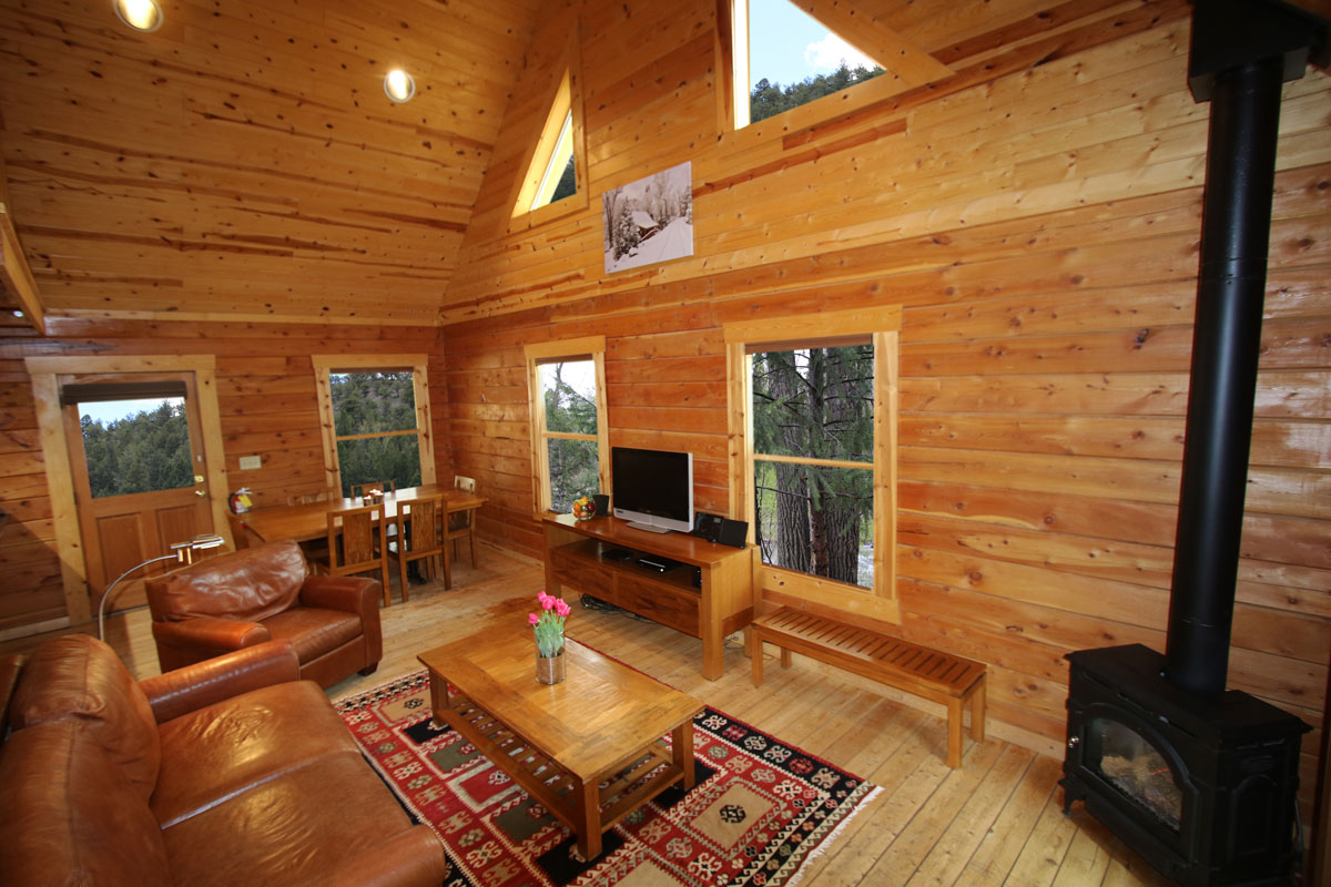 Cabins For Rent At Mount Princeton Hot Springs Resort