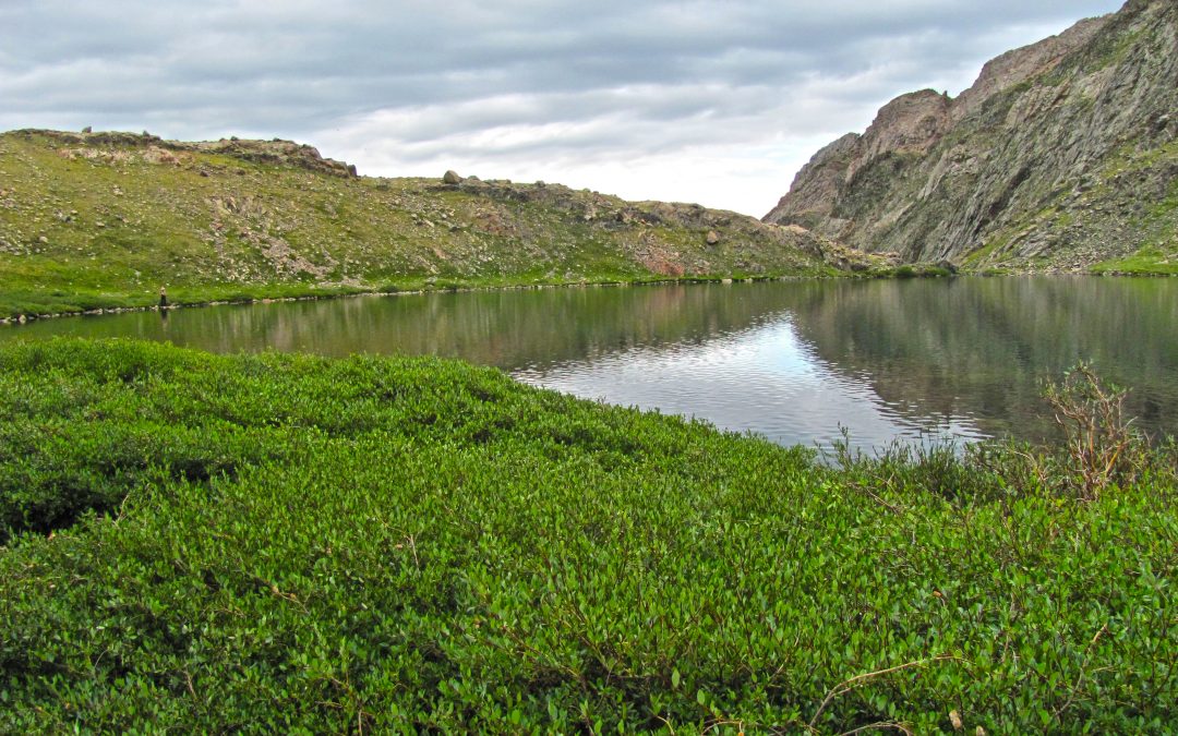 Upper & Lower Stout Lakes